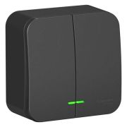 2-клавишный ВЫКЛЮЧАТЕЛЬ изол.пл., 10А, антрацит,IP54 о/у,  Schneider Electric